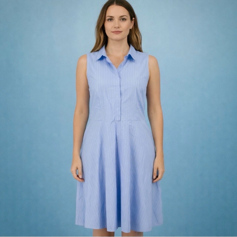 Ann Taylor Factory Blue Striped Dress size 16
